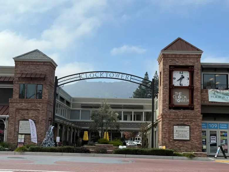 Downtown Series: Home in Danville for the Holidays